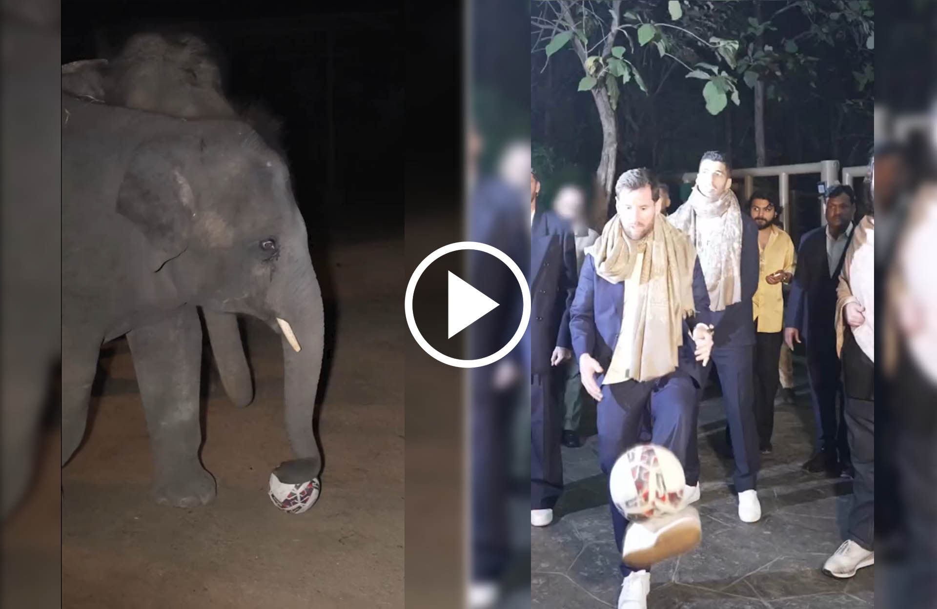 Messi surprises in India after sending a pass to an elephant